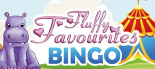 Bingo free slots online Bingo free slots online