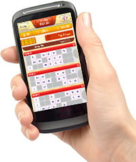 Compatibility of the mobile Iceland Bingo